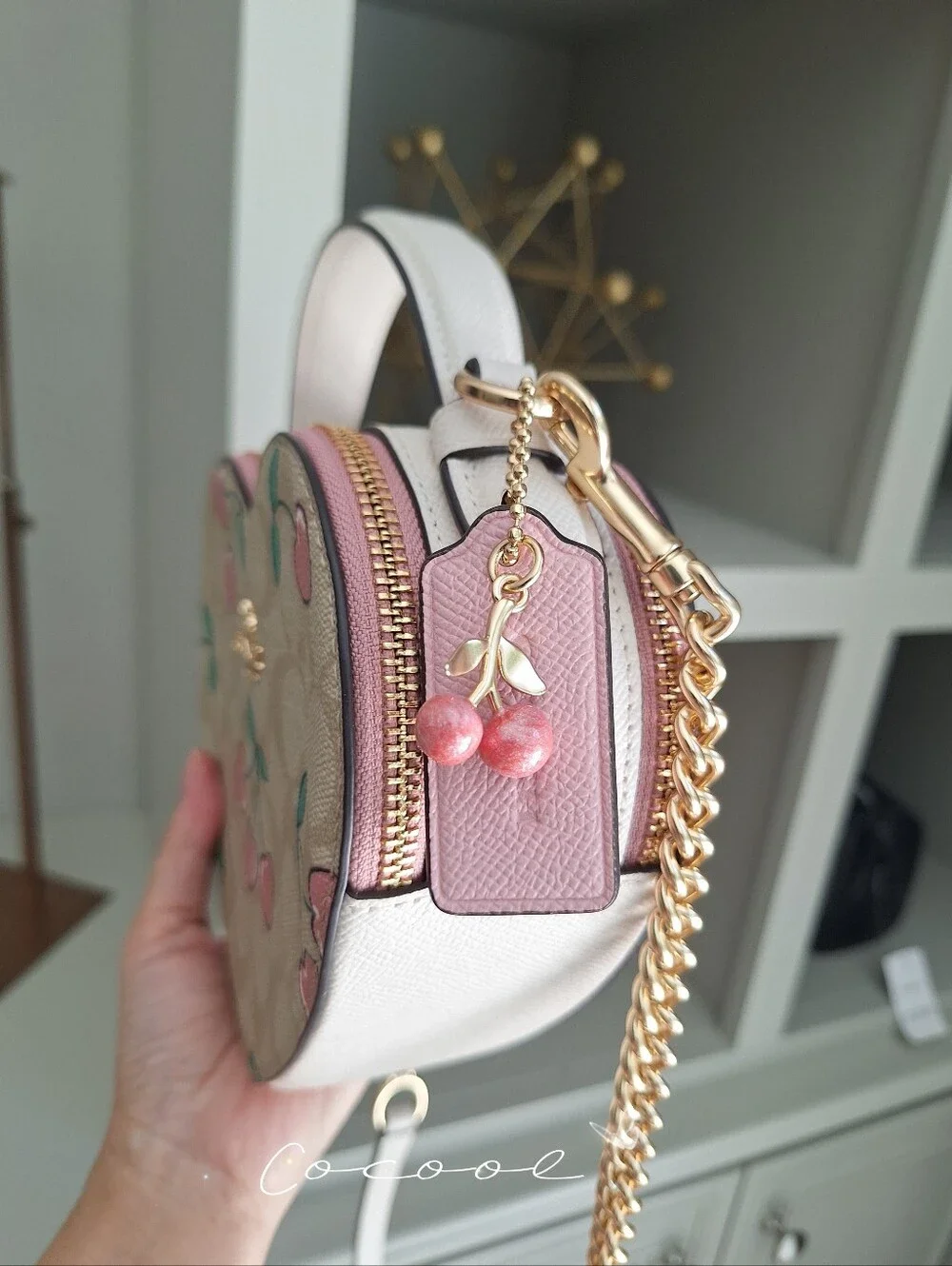 NEW COACH Heart Crossbody In Signature Canvas With Heart Cherry Print CE653